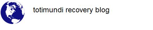 totimundi recovery blog